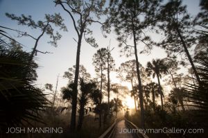 Josh Manring Photographer Decor Wall Art -  Florida Everglades -76.jpg